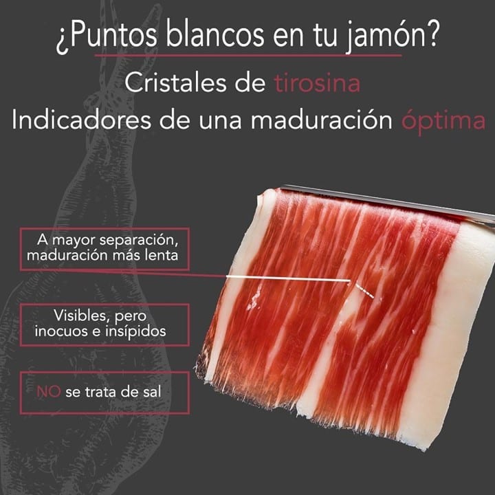 infografía cristales de tirosina jamón Rodríguez Sacristán