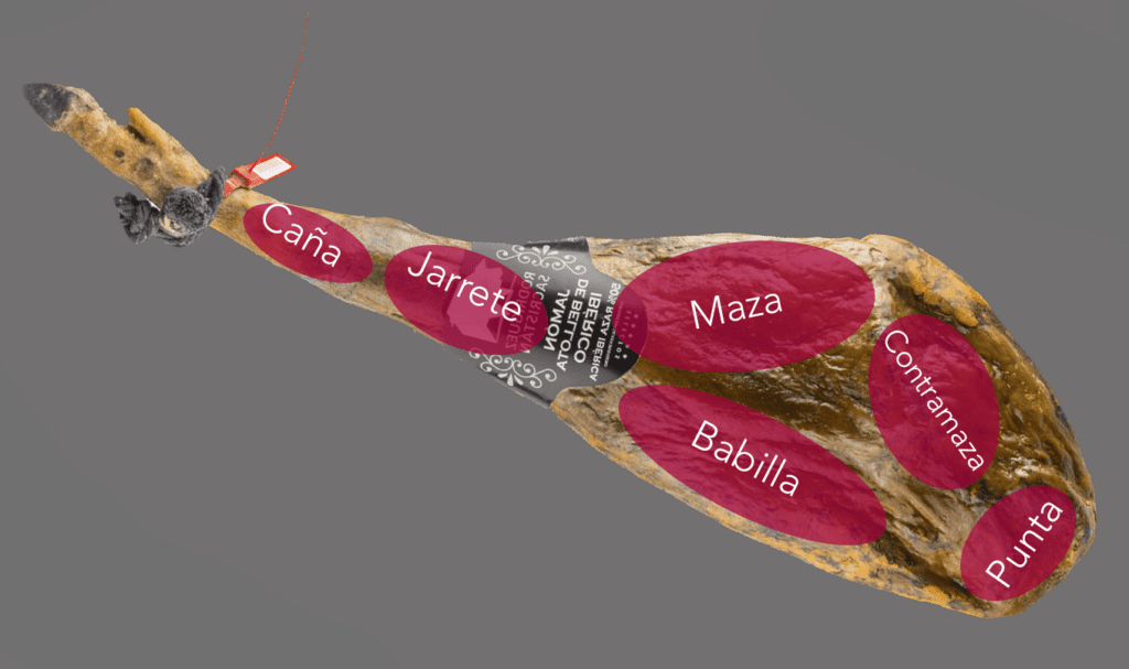Las distintas partes de un jamón ibérico